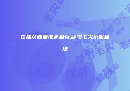 福建茶园基地哪里有,都匀毛尖茶园基地