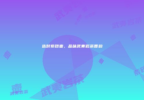 选对紫砂壶，品味武夷岩茶香韵