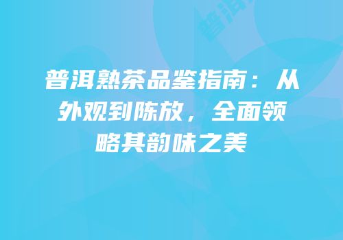 普洱熟茶品鉴指南：从外观到陈放，全面领略其韵味之美