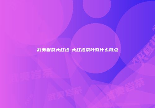 武夷岩茶大红袍-大红袍茶叶有什么特点