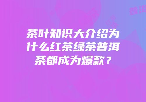 茶叶知识大介绍为什么红茶绿茶普洱茶都成为爆款？
