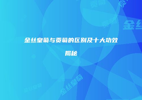 金丝皇菊与贡菊的区别及十大功效揭秘