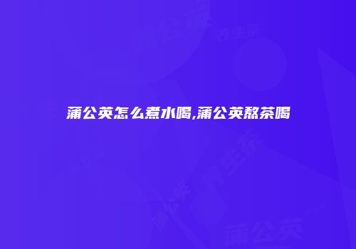 蒲公英怎么煮水喝,蒲公英熬茶喝