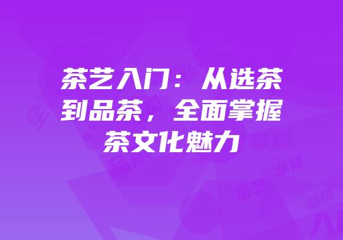 茶艺入门：从选茶到品茶，全面掌握茶文化魅力