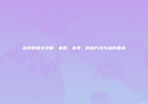 茶籽种植全攻略：来源、发芽、种植方法与选购要点