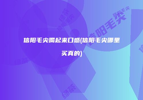 信阳毛尖喝起来口感(信阳毛尖哪里买真的)