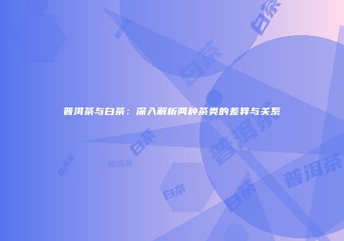 普洱茶与白茶：深入解析两种茶类的差异与关系