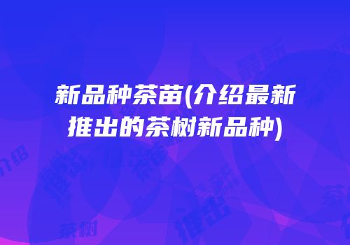 新品种茶苗(介绍最新推出的茶树新品种)