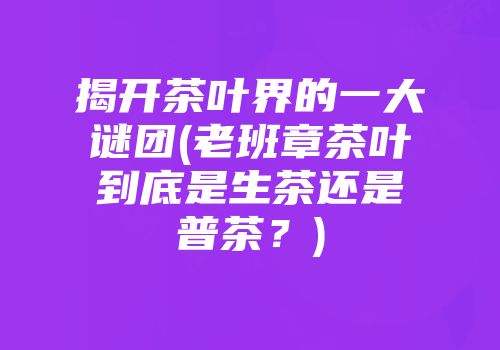 揭开茶叶界的一大谜团(老班章茶叶到底是生茶还是普茶？)