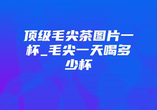 顶级毛尖茶图片一杯_毛尖一天喝多少杯