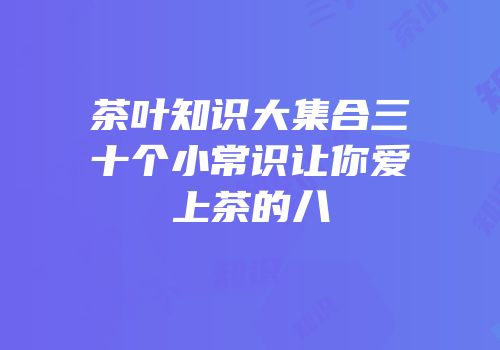 茶叶知识大集合三十个小常识让你爱上茶的八
