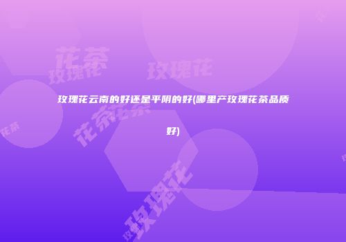 玫瑰花云南的好还是平阴的好(哪里产玫瑰花茶品质好)