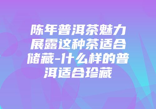 陈年普洱茶魅力展露这种茶适合储藏-什么样的普洱适合珍藏