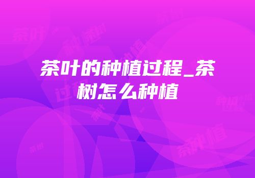 茶叶的种植过程_茶树怎么种植