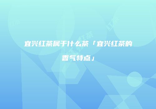 宜兴红茶属于什么茶「宜兴红茶的香气特点」