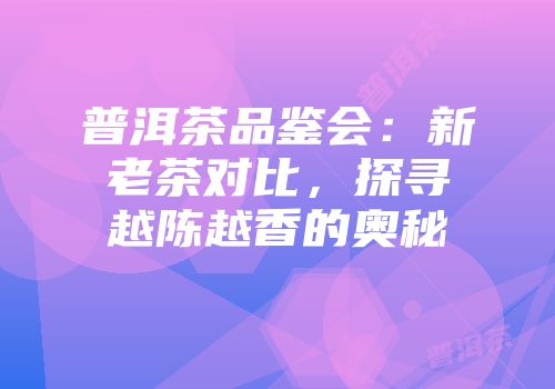 普洱茶品鉴会：新老茶对比，探寻越陈越香的奥秘