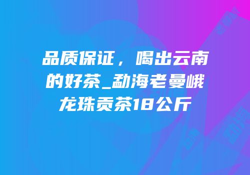 品质保证，喝出云南的好茶_勐海老曼峨龙珠贡茶18公斤