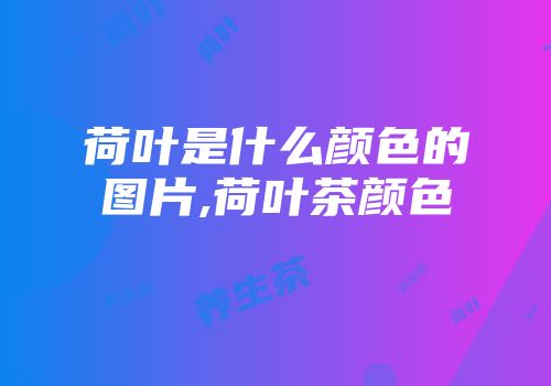 荷叶是什么颜色的图片,荷叶茶颜色