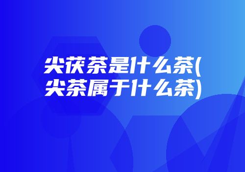 尖茯茶是什么茶(尖茶属于什么茶)