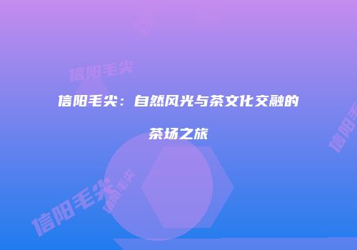 信阳毛尖：自然风光与茶文化交融的茶场之旅
