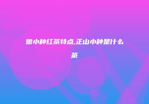 嫩小种红茶特点,正山小种是什么茶