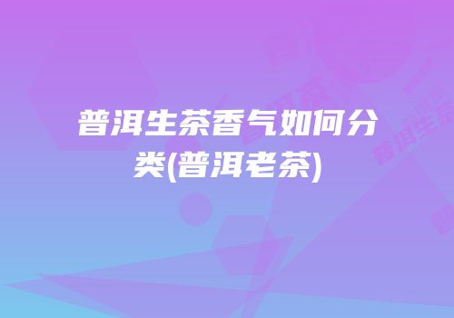普洱生茶香气如何分类(普洱老茶)