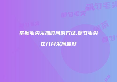 掌握毛尖采摘时间的方法,都匀毛尖在几月采摘最好