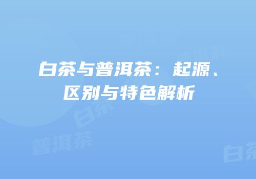 白茶与普洱茶：起源、区别与特色解析