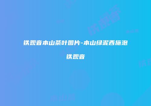 铁观音本山茶叶图片-本山绿泥西施泡铁观音