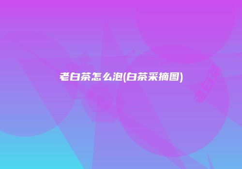 老白茶怎么泡(白茶采摘图)