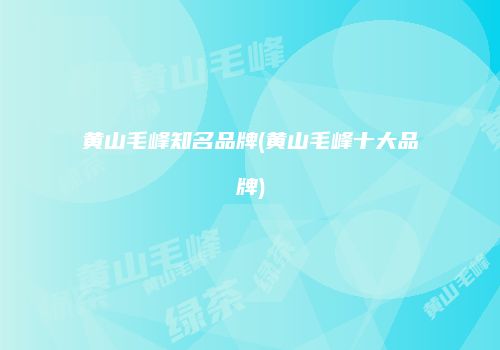 黄山毛峰知名品牌(黄山毛峰十大品牌)