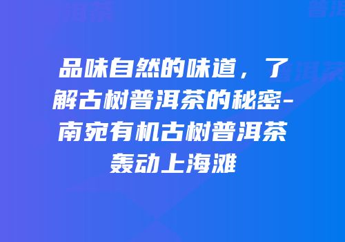 品味自然的味道，了解古树普洱茶的秘密-南宛有机古树普洱茶轰动上海滩