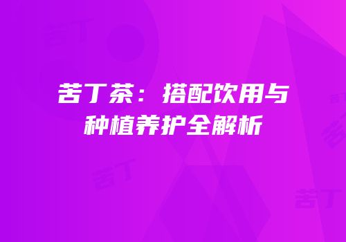 苦丁茶：搭配饮用与种植养护全解析