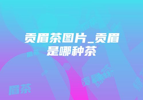 贡眉茶图片_贡眉是哪种茶