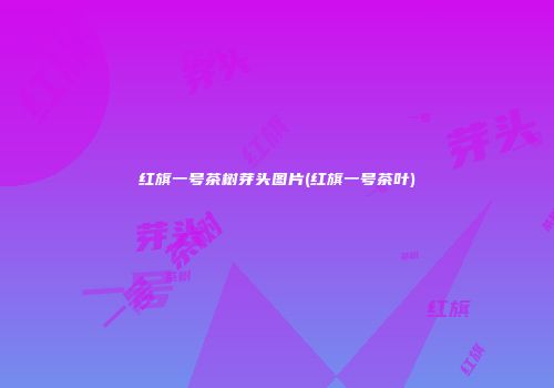 红旗一号茶树芽头图片(红旗一号茶叶)