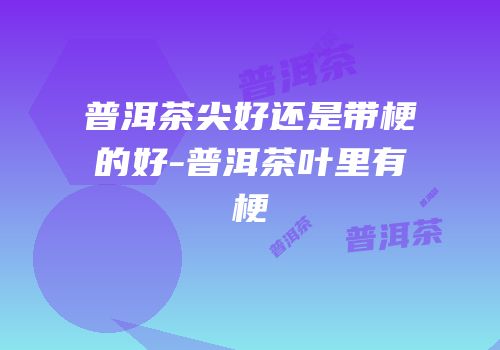 普洱茶尖好还是带梗的好-普洱茶叶里有梗