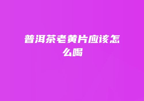 普洱茶老黄片应该怎么喝