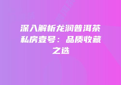 深入解析龙润普洱茶私房壹号：品质收藏之选