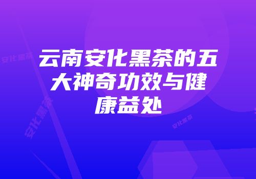 云南安化黑茶的五大神奇功效与健康益处