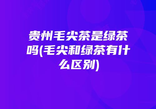 贵州毛尖茶是绿茶吗(毛尖和绿茶有什么区别)