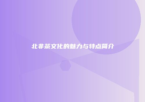 北非茶文化的魅力与特点简介