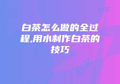 白茶怎么做的全过程,用水制作白茶的技巧