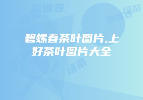碧螺春茶叶图片,上好茶叶图片大全