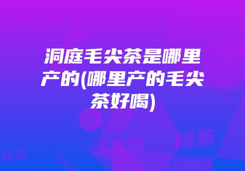 洞庭毛尖茶是哪里产的(哪里产的毛尖茶好喝)