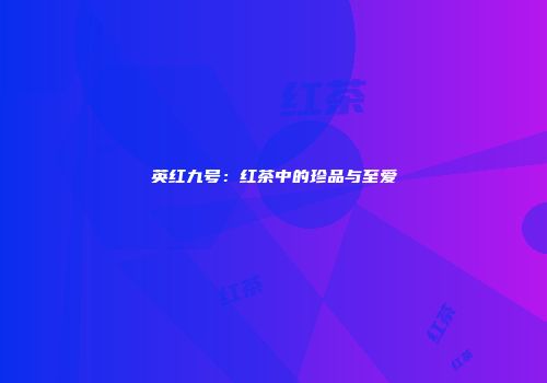 英红九号：红茶中的珍品与至爱