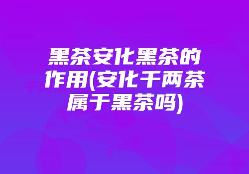 黑茶安化黑茶的作用(安化千两茶属于黑茶吗)