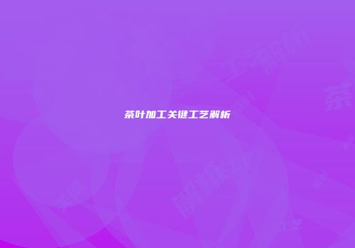 茶叶加工关键工艺解析