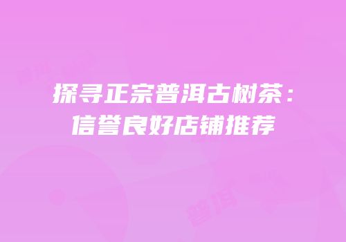 探寻正宗普洱古树茶：信誉良好店铺推荐