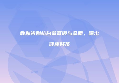 教你辨别杭白菊真假与品质，喝出健康好茶