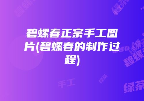 碧螺春正宗手工图片(碧螺春的制作过程)